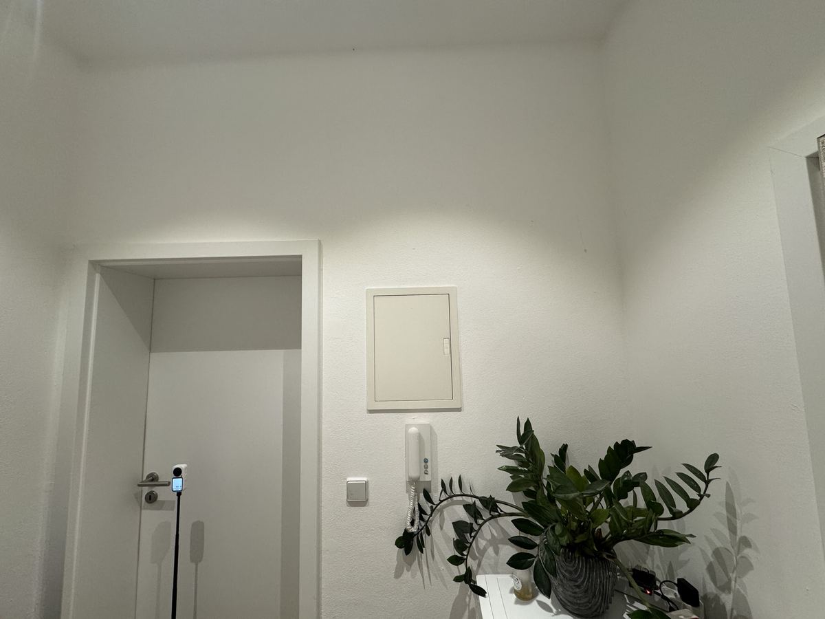 Handyfoto eines leeren Flurs mit Tür, Sicherungskasten und Pflanze